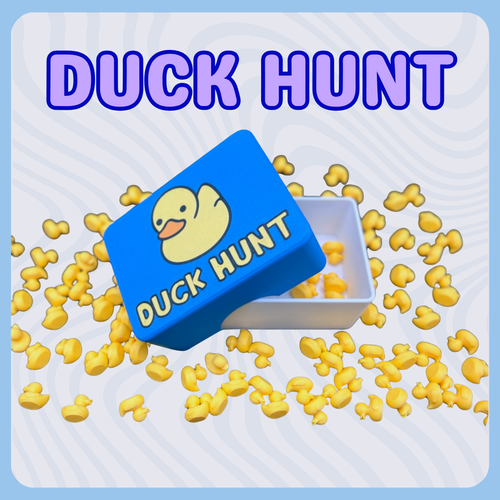 The Duck Hunt